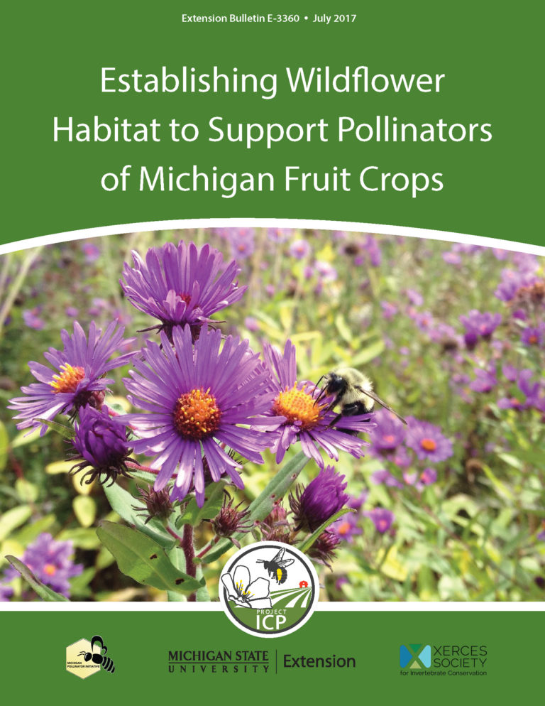 PDF cover of Establishing Wildflower Habitat to Support Pollinators of MI Fruit Crops